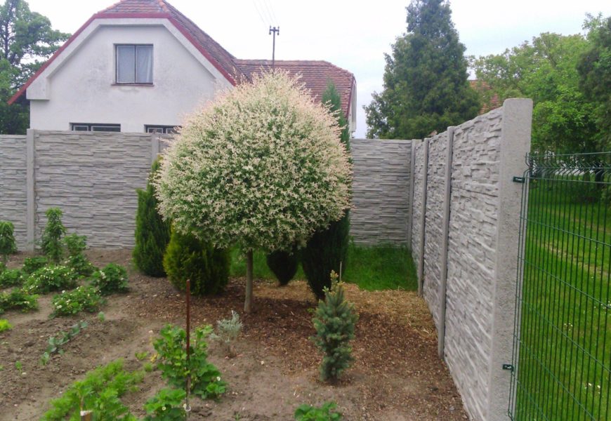 Tápete nad výběrem plotu k ohraničení svého pozemku?