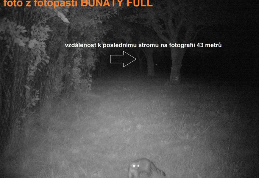 S fotopastí můžete ochránit váš majetek i mapovat pohyby zvěře