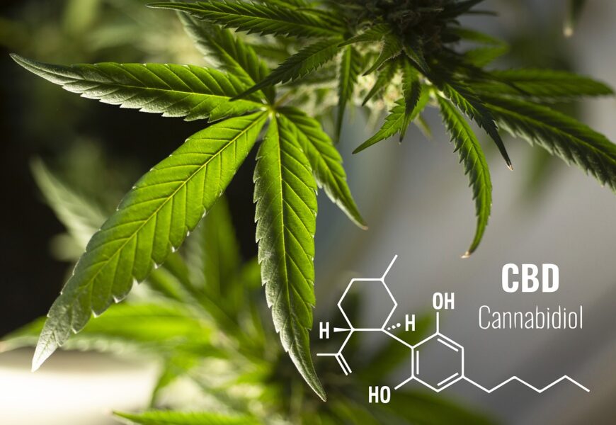 CBD je univerzálním lékem na mnoho neduhů